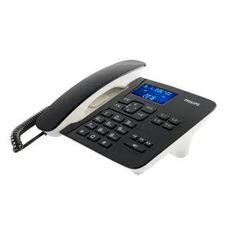 PHILIPS KS 680P 250V 1% Polystyren 臥式 電容 1顆1標 歷史價格詳細信息