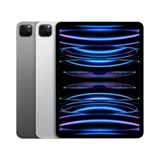 Apple iPad Pro 2022 11吋 WIFI 256G 平板 歷史價格詳細信息
