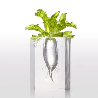 【琉璃工房】明朝看我 蘿蔔紮根 破土而出(新居 開幕 升官) 價格比較,價格查詢,歷史價格詳細信息