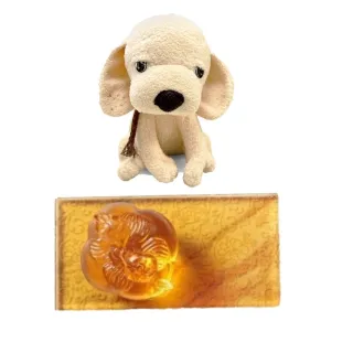 【旺旺鞋】見說明- 促銷中KJ 溯溪鞋 運動鞋 涉水鞋 透氣鞋 休閒鞋 海灘鞋 沙灘鞋 兩棲鞋 防滑鞋 工作鞋 止滑鞋 歷史價格詳細信息