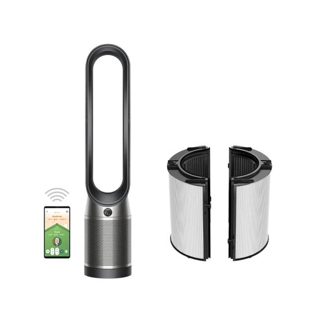 【dyson 戴森】TP07 Purifier Cool 二合一空氣清淨機 循環風扇(銀白色二入)(超值組) 歷史價格詳細信息