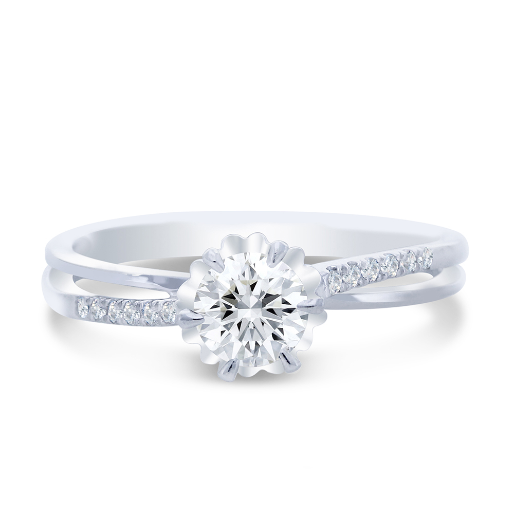 愛的帝國：權力與誘惑，作為感官文本的「法屬太平洋」 歷史價格詳細信息