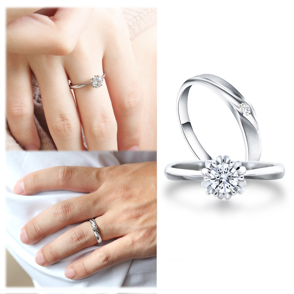 愛的帝國：權力與誘惑，作為感官文本的「法屬太平洋」 歷史價格詳細信息