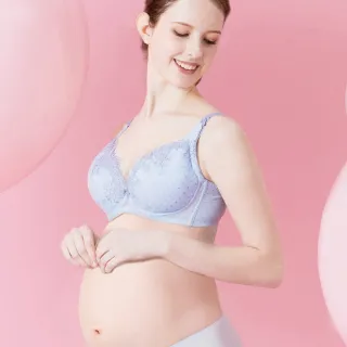 【Gennies 奇妮】哺乳內衣 赫本秘密軟鋼圈內衣 歐歐咪妮(氣質粉) 歷史價格詳細信息