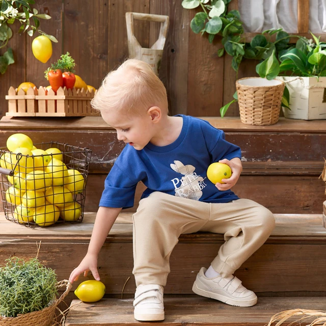 【奇哥】簡約淺灰色中床附床墊+花園比得兔六件床組/寢具組-M(粉色) 歷史價格詳細信息