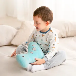 奇哥 兒童汽車安全帶造型抱枕(2款可選)【麗兒采家】 歷史價格詳細信息