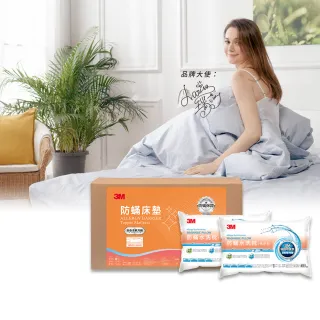 【3M】低密度防蹣記憶床墊-標準型4cm-單人3x6.2+防蹣水洗枕1入(開學/宿舍/租屋推薦) 歷史價格詳細信息