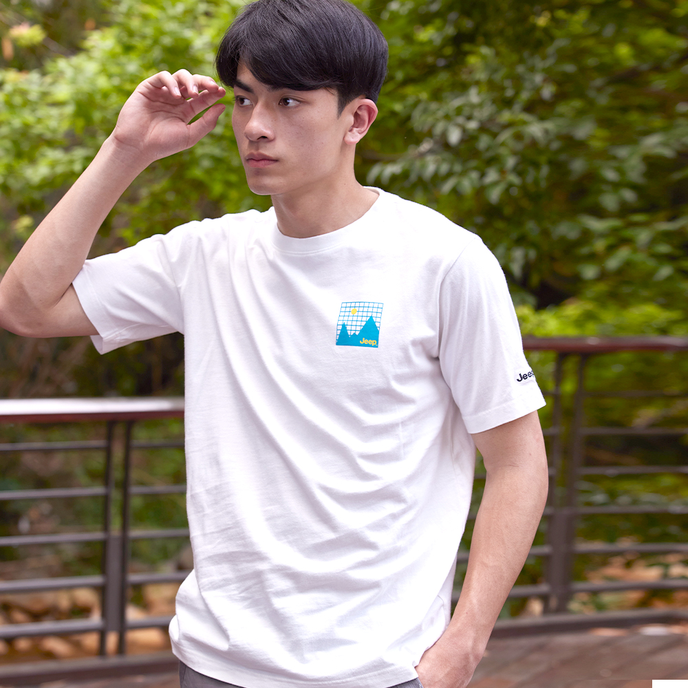 【JEEP】男裝 山岳圖騰刺繡休閒長袖POLO衫(軍綠色) 歷史價格詳細信息