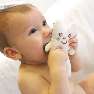 【微笑動物】 防水姓名貼紙 歷史價格詳細信息