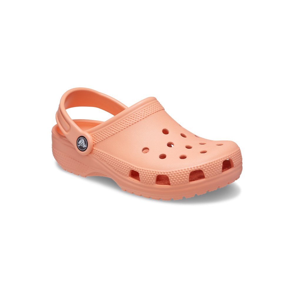 【Crocs】童鞋 經典大童克駱格(206991-2Y2) 歷史價格詳細信息