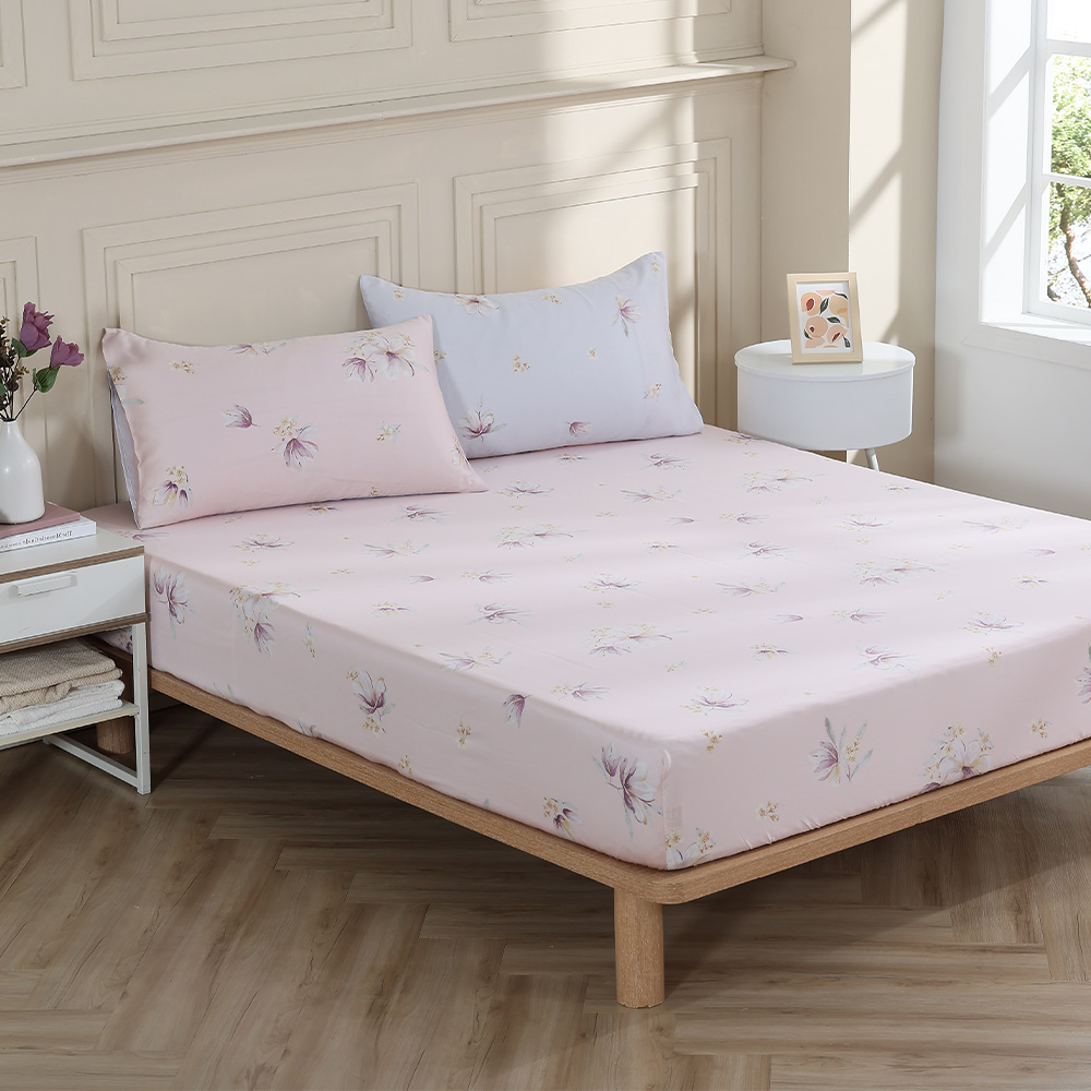 【Tonia Nicole 東妮寢飾】環保印染100%精梳棉兩用被床包組-太空寶貝+龍龍迪諾兩用抱枕毯(單人) 歷史價格詳細信息