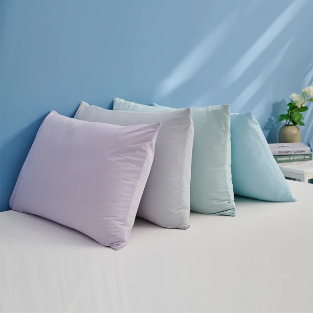 Tonia Nicole東妮寢飾 涼夏凝膠枕(2入) 歷史價格詳細信息