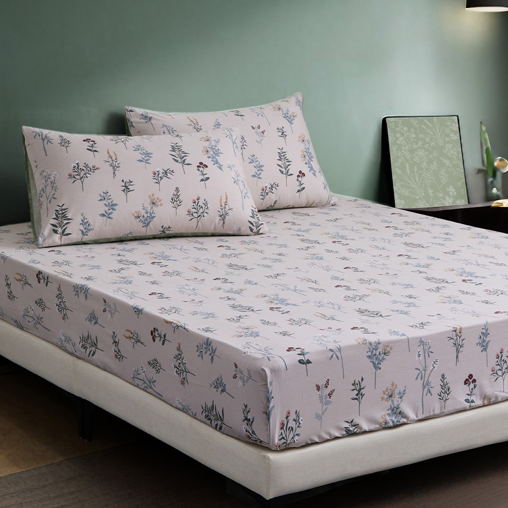 【Tonia Nicole 東妮寢飾】100%精梳棉六件式兩用被鋪棉床罩組-花箋集(特大) 歷史價格詳細信息