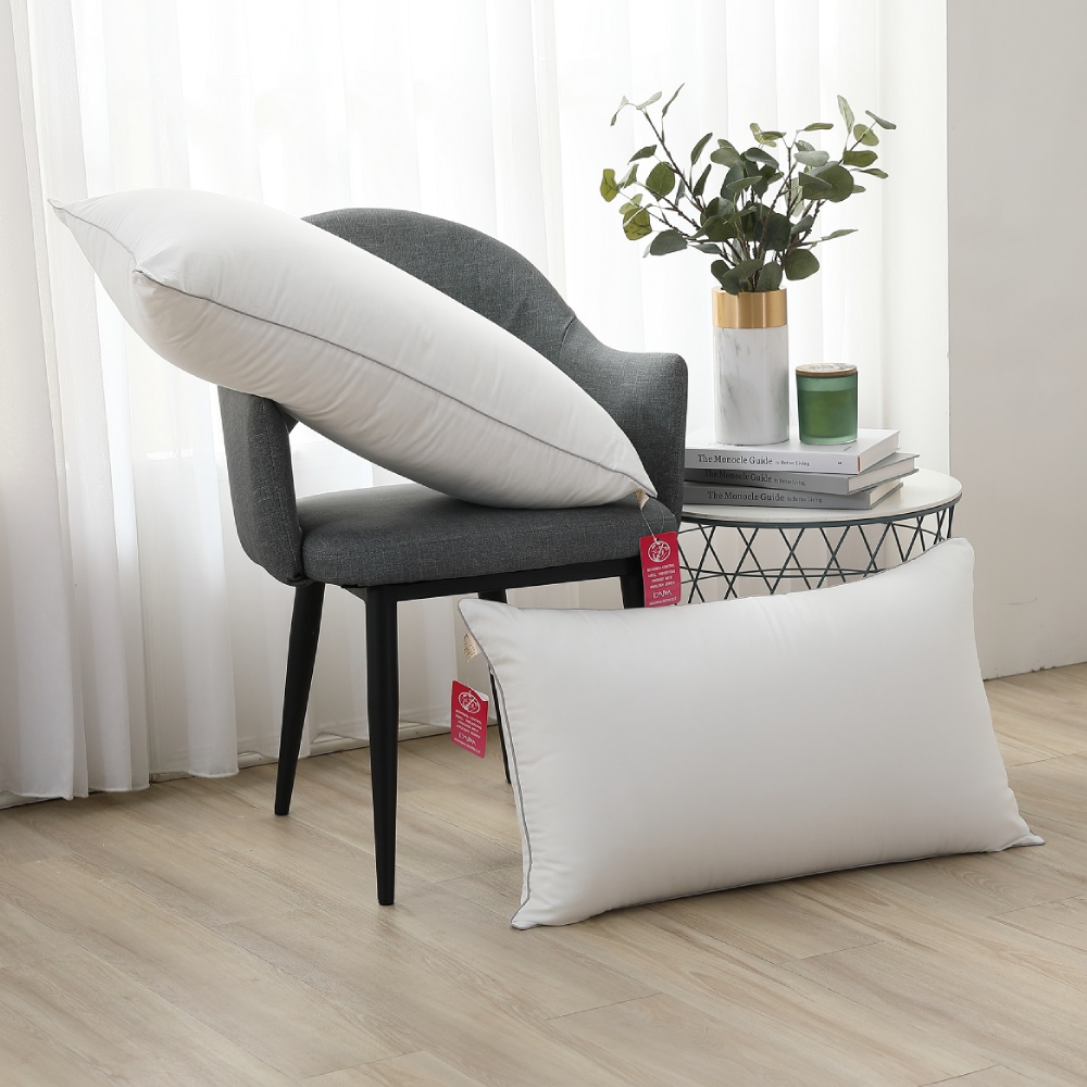 Tonia Nicole東妮寢飾 雲柔防蟎抗菌水洗枕2入 歷史價格詳細信息