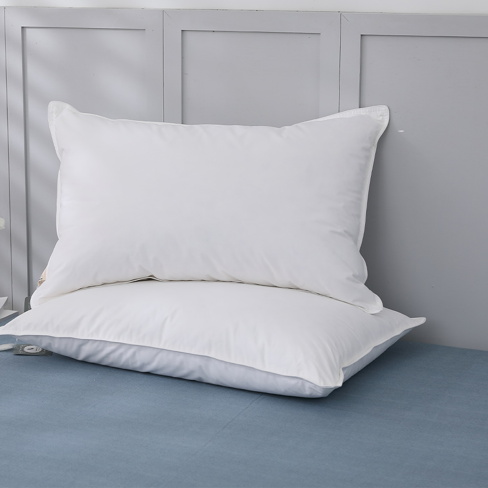 【Tonia Nicole 東妮寢飾】波蘭30D典藏羽絨枕(1入) 歷史價格詳細信息