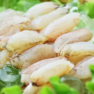 【海之金】鮮嫩鮭魚下巴（500g/包）（滿額免運） 歷史價格詳細信息