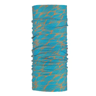 臭頭小子皇帝命 dvd  洪金寶 岳華 黄家达 石天主演 歷史價格詳細信息