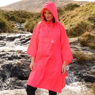 成人快板紅褐色快板竹... 歷史價格詳細信息