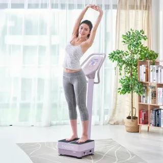 【berest】VP200 座運動大平板垂直律動機-炫麗紫-福利品 歷史價格詳細信息