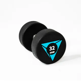 【BE】URD12-PU圓頭包膠啞鈴-24KG(二入組) 歷史價格詳細信息