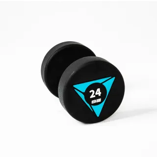 【BE】URD12-PU圓頭包膠啞鈴-24KG(二入組) 歷史價格詳細信息