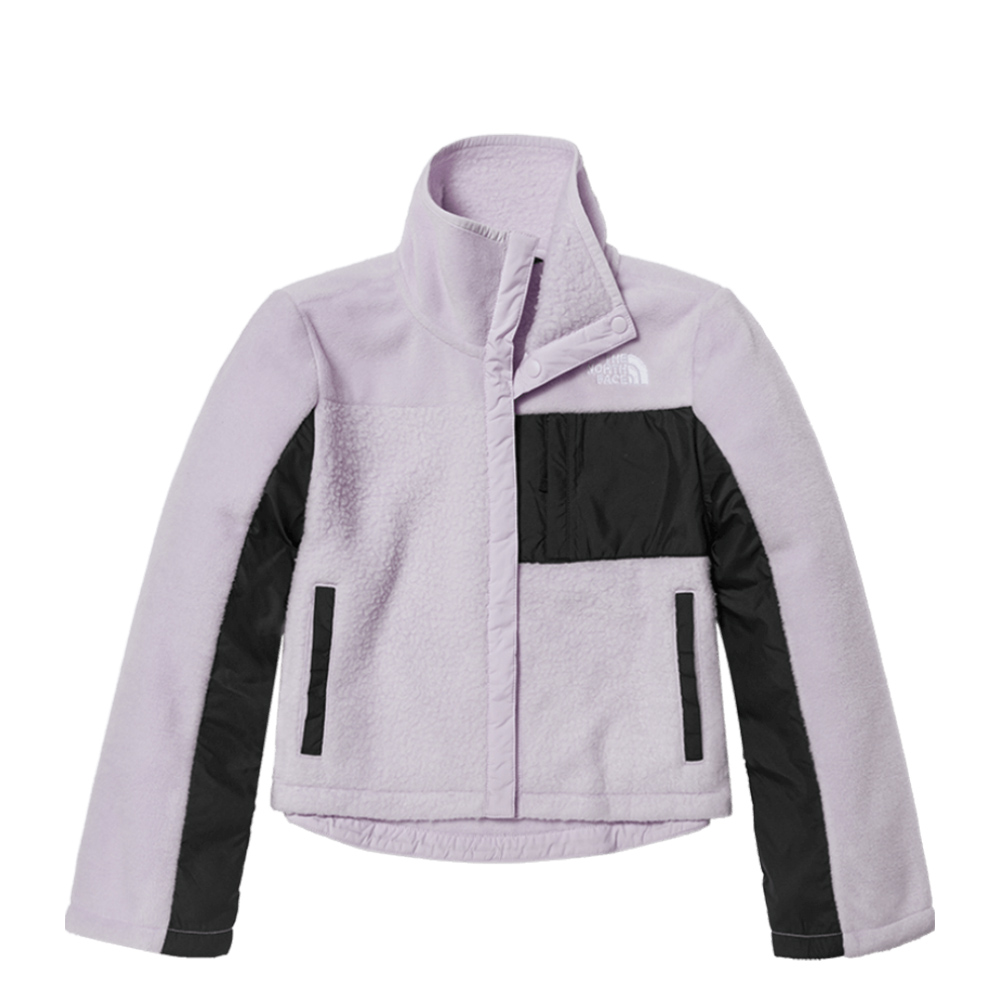 【The North Face】北面兒童紫色保暖連帽抓絨連帽外套｜82TVYK3 歷史價格詳細信息