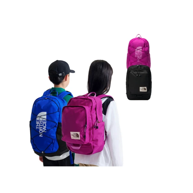【The North Face】兒童 舒適背負防潑水休閒後背包-NF0A52VXIYW 歷史價格詳細信息