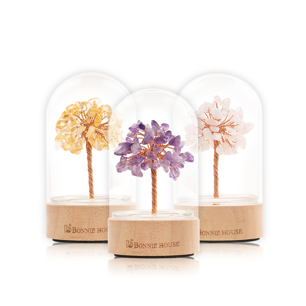 【Bonnie House 植享家】任搭洗沐護2入組 泉水呵護洗髮乳500ml 贈有機薄荷精油5ml｜清潔舒活 官方直營 歷史價格詳細信息
