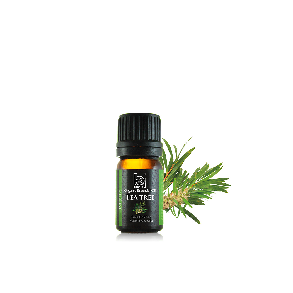 Bonnie House雙11限定手頸霜超值組 歷史價格詳細信息