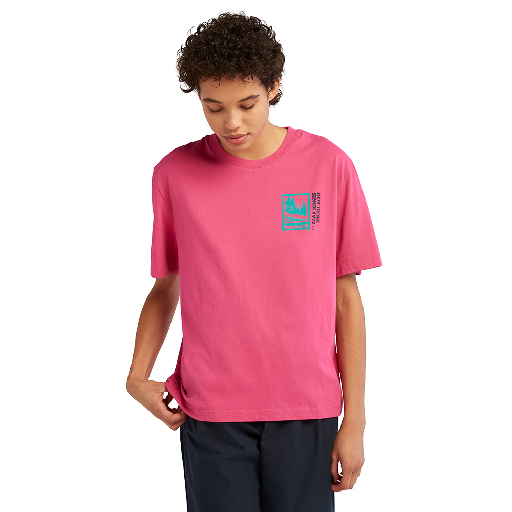 Timberland 男款醬紅色有機棉刺繡LOGO短袖POLO衫 |A62T5DH9 歷史價格詳細信息