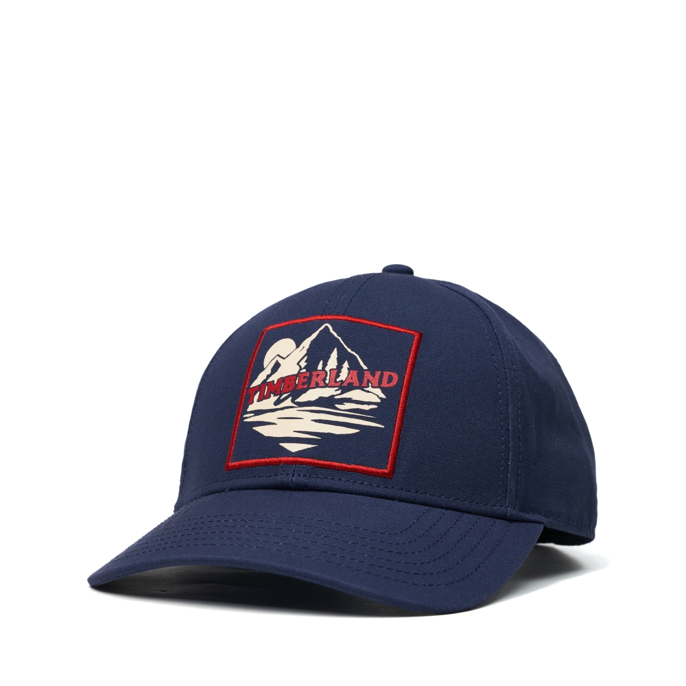Timberland 中性海軍藍Cooper Hill 復古3D品牌LOGO刺繡棒球帽|A1F54451 歷史價格詳細信息