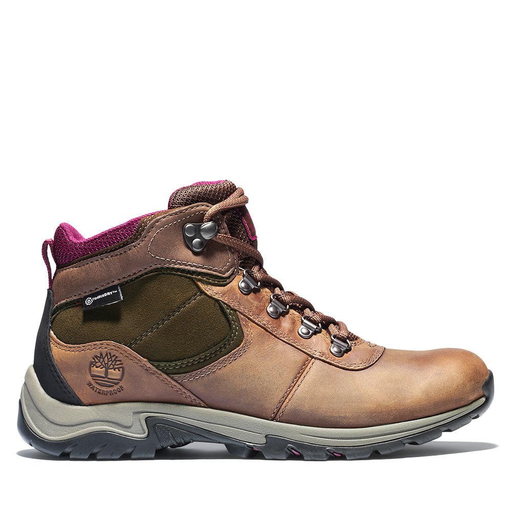 TIMBERLAND 全粒面皮革扣環涼鞋 咖 A26C6 女鞋 歷史價格詳細信息