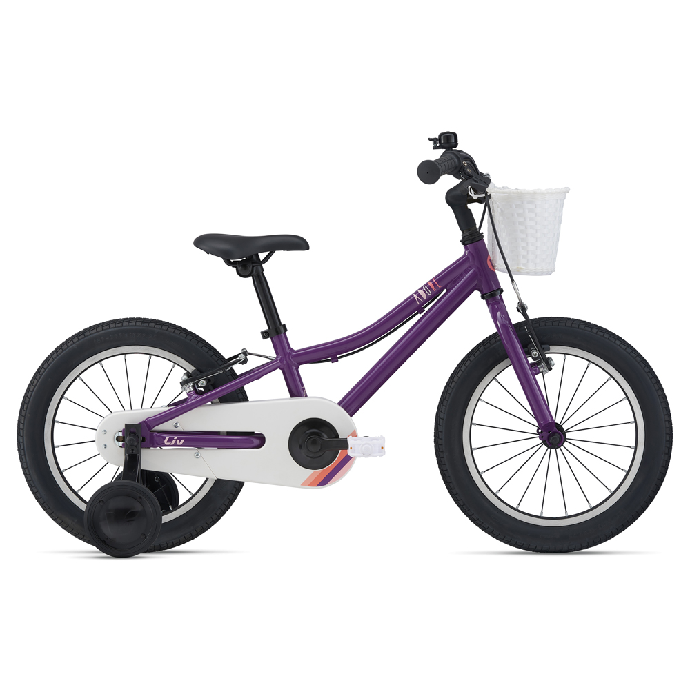 GIANT LIV 捷安特 自行車 超輕量碳纖維水壺架 AIRWAY LITE 5色 歷史價格詳細信息