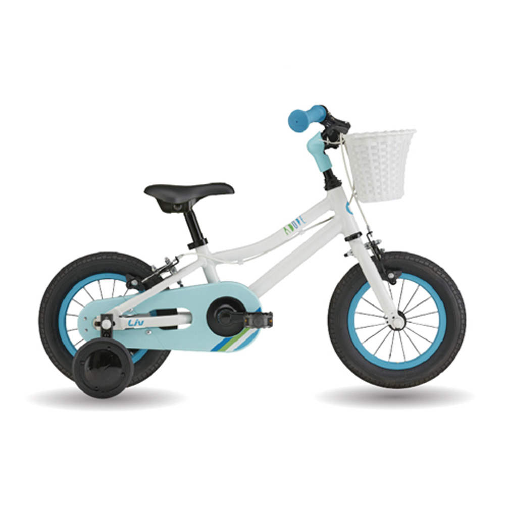 GIANT LIV 捷安特 自行車 超輕量碳纖維水壺架 AIRWAY LITE 5色 歷史價格詳細信息