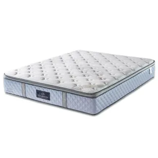 【HOLA】LADY萊儷絲康斯坦-竹炭纖維乳膠獨立筒床墊雙人5x6.2呎(雙人5x6.2呎) 歷史價格詳細信息