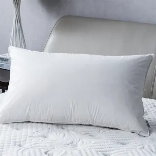 【HOLA】羽絨抱枕芯 30*60 CM 白 歷史價格詳細信息