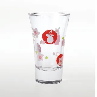 TSG進口專業護具運動防摔防護裝備兒童滑板雙翹長板護膝護肘護手 歷史價格詳細信息