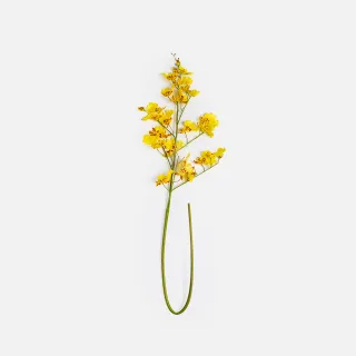 【HOLA】黃麻踏墊45x76方格 歷史價格詳細信息