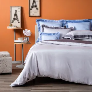 特大蒼蠅拍/手蚊拍/捕蚊拍(3入) 歷史價格詳細信息