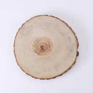 台灣樟木情境燈(大)|芬多森林 歷史價格詳細信息