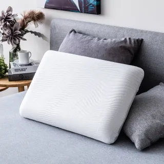 恆好眠防螨抗菌記憶枕正側兩用型H11/14cm 歷史價格詳細信息