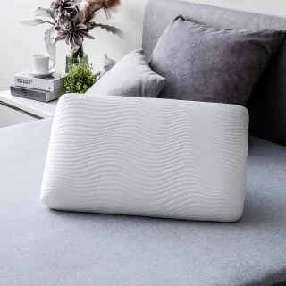 恆好眠防螨抗菌記憶枕正側兩用型H11/14cm 歷史價格詳細信息