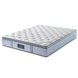 【HOLA】LADY萊儷絲康斯坦-竹炭纖維乳膠獨立筒床墊雙人5x6.2呎(雙人5x6.2呎) 歷史價格詳細信息