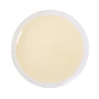 HOLA 璞玥圓盤24cm-綠 歷史價格詳細信息