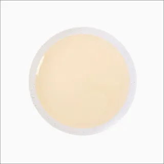 HOLA 璞玥圓盤24cm-綠 歷史價格詳細信息