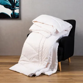 HOLA 法罕印度純棉編織踏墊40x60cm 線條淡粉 歷史價格詳細信息