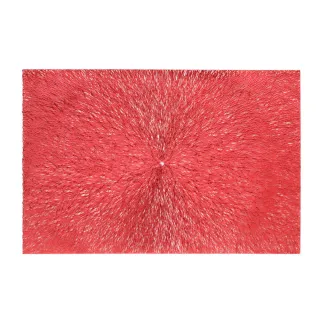 HOLA PVC編織餐墊30x45cm 迷霧藍金 歷史價格詳細信息