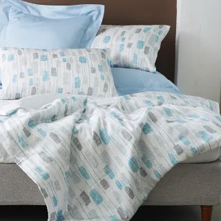 【HOLA】雅莉安天絲美式枕套2入 歷史價格詳細信息