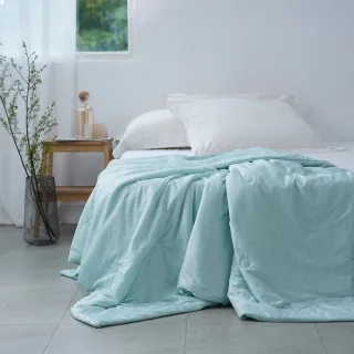 HOLA snow touch涼感記憶頸枕-薄荷綠 歷史價格詳細信息