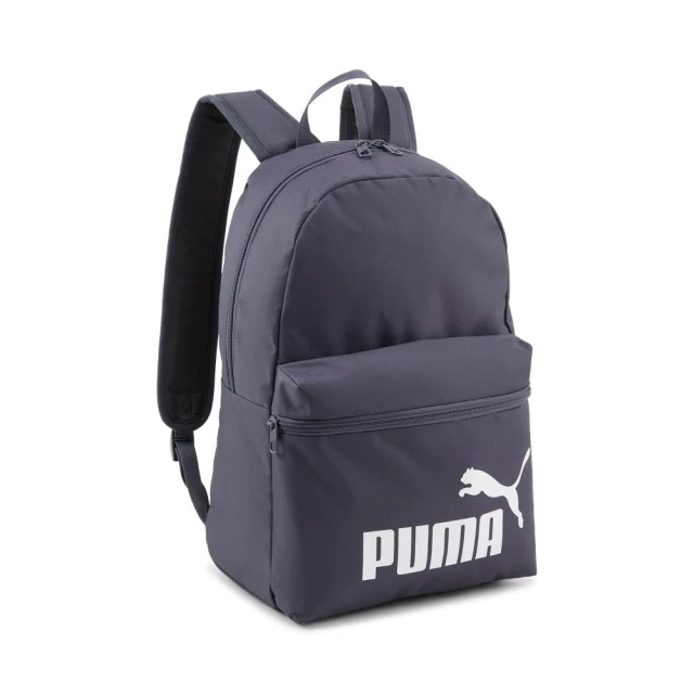 【PUMA官方旗艦】PUMA Phase側背小包 男女共同 07995601 歷史價格詳細信息